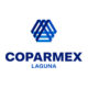 coparmex-laguna-punto-think-digital